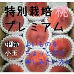 暁星