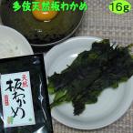  natural board . tortoise 16g 6 year production Shimane .. city many . block production board wakame seaweed 