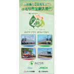  город система . line 20 anniversary commemoration ... город все станция входной билет 