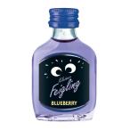 シトラム クライナーファイグリング ブルーベリー  20ml