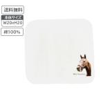 ウインバリアシオン ミニハンカチタオル　公認グッズ　【ゆうパケット対応 送料無料 / 競馬・競走馬グッズ  】