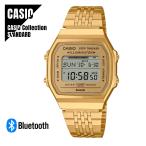 【即納】国内正規品 CASIO Collection STA
