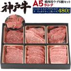 誕生日祝い 神戸牛 A5ランク ウデ カタ 6種 焼肉セット 480g 希少部位 食べ比べ 箱入 贈答用 熨斗 冷凍便 お肉 焼き肉 焼肉 高級 国産牛肉 お中元 お肉