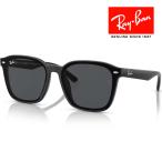 RayBan レイバン サングラス メガネフレーム 66□17 ブラック ダークグレー RB4392D 601/87 フラットレンズ クロス付 レイバン純正メガネケース付き 国内正規品