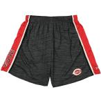 Zubaz MLB Mens Cincinnati Reds Space Dye Solid Stripe Shorts  X-Large　並行輸入品