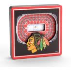 YouTheFan NHL Chicago Blackhawks - United Center 3D StadiumView Magnet3D StadiumView Magnet, Team Colors, Small　並行輸入品