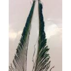 ピーコックソード Proグレード1pairパック S