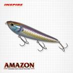 エバーグリーン アマゾン