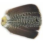 パートリッジコンプリートテール