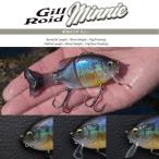 イマカツ ギルロイド ミニー 3Dリアリズム