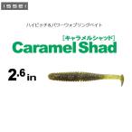 個数限定特別価格 イッセイ キャラメルシャッド 2.6　2個までメール便OK