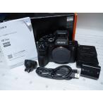 ソニー SONY ミラーレス