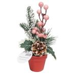  winter pot план to312043