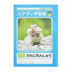 まとめ買い100個セット 漢字ノート ステディ学習帳 かんじれんしゅう 84字 40枚 0915/342947