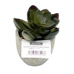  flower pot many meat pot gray A/ pistachio artificial flower fake green 357719