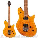 EVH Wolfgang WG Standard QM Baked Maple Fingerboard -Transparent Amber- 【ONLINE STORE】