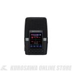 ZOOM H2essential [ портативный магнитофон ][ONLINE STORE]