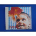 CD/The Trampolines トランポリンズ/splash! スプラッシュ!/中古/cd20306