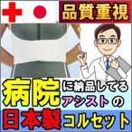 コルセット 腰痛サポートベルト 胸部 サポーター ライトバンド ハーフ 肋骨 あばら骨 矯正 締め バスト 胸 腹 アシスト 小〜 大きいサイズ 医療用 ぎっくり腰