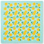 o.. san. большой furoshiki .. 2 ширина 2 ширина 70cm угол сделано в Японии 
