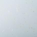  японская бумага оберточная бумага 5 шт. комплект пустой цвет месяц . новый цвет 4 шесть версия половина . размер 