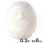  Takasaki ....... белый ...(0.3 номер * высота 6cm) цельный ... construction для Work магазин ручная работа body . свободный изучение Gunma префектура указание .... традиция изделие прикладного искусства 