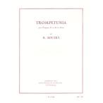 ( музыкальное сопровождение )to long pechunia/ композиция :roje*btoli( труба & фортепьяно )
