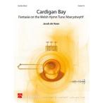 ( музыкальное сопровождение ) кардиган .( кардиган * Bay ) / композиция :yakob*te Haan ( вентилятор мех Leo ruke -тактный )( оценка только )