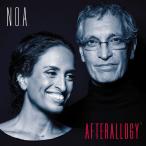 Noa Gil Dor - Afterallogy LP レコード 輸入盤