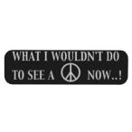 ステッカー No 939 WHAT I WOULDN'T