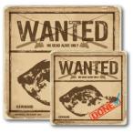 Yahoo! Yahoo!ショッピング(ヤフー ショッピング)釣りステッカー カワハギ Cタイプ 2枚セット FS078 フィッシング ステッカー 釣り グッズ