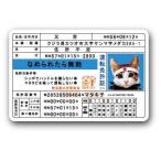 なめ猫 キャラクターステッカー 免許証 LCS447 懐かし 80年代 なめ猫グッズ 昭和 レトロ 猫