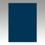 文運堂 色画用紙 ニューカラー 4切 こんいろ 4NCR-331