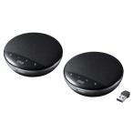 Sanwa Supply беспроводной собрание динамик phone 2 шт. комплект MM-WLMSPSET