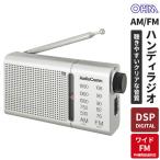  ом электро- машина AM/FM портативный радио высокочувствительный DSP цифровой тюнер FM.. радиовещание соответствует динамик установка серебряный 