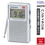  ом электро- машина AM/FM жидкокристаллический отображать портативный радио широкий FM соответствует RAD-P5151S-S