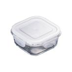 イシガキ 耐熱ガラス保存容器 正方�