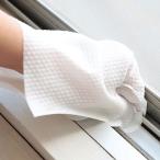 カクセー お掃除グローブ 20枚セット OG-20