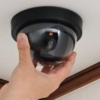 kakse- предотвращение преступления муляж черепаха Rado m type DD-01