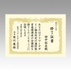 sa SaGa waOA почетный сертификат бумага 10 листов входит A4 штамп длина документ крем 10-1067