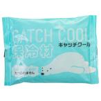 トライ・カンパニー 保冷剤 キャッチクール200g HC-200K