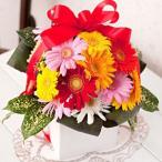 ガーベラ 誕生日 記念日【ダイヤ】あすつく  誕生日 プレゼント 花 翌日配達 花 翌日配達