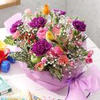 母の日用　紫カーネーション ムーンダスト 花 送料無料 プレゼント フラワー 贈り物  アレンジ バラ ハミング