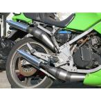 MIZUNO MOTOR Mizuno motor [zes]KR250 для оригинал камера KR250/S KAWASAKI Kawasaki muffler 
