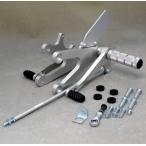 WR*S RR z Battle Step 1 позиция модель RGV-Γ250SP SUZUKI Suzuki задняя подножка подножка подвеска 