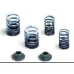 SP Takegawa SPtake сторона [ ремонт детали ] super head клапан(лампа) комплект пружин клапанная пружина двигатель детали двигатель 