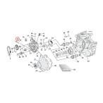 MCS M si-es springs предохранительный клапан масляный насос p[SPRING RELIEF VALVE OIL PUMP] 99-17 TCA|B; 08-12(NU)XR1200 масляный насос p двигатель детали 