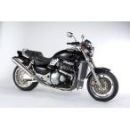 ACTIVE активный подрамник полировка цвет : серебряный CB1300SF X-4 LD HONDA Honda рама 