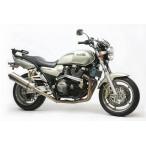 ACTIVE активный подрамник полировка цвет : серебряный XJR1200 XJR1300 YAMAHA Yamaha рама 