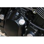 PMCpi- M si- двигатель Thermo мера M20 цвет : серебряный Z900RS KAWASAKI Kawasaki датчик температуры масла охлаждающий относящийся двигатель 